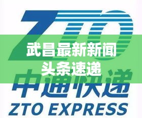 武昌最新新闻头条速递