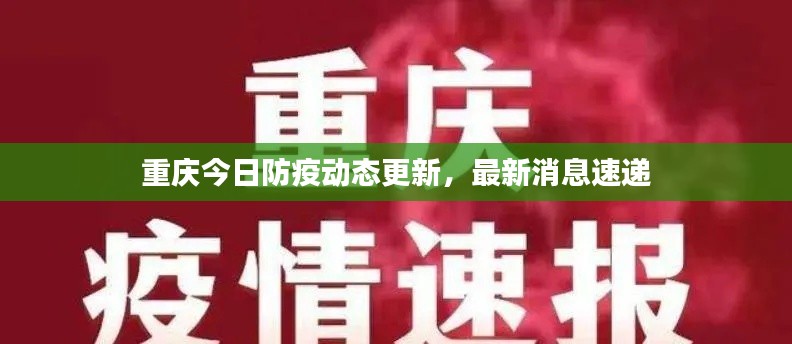 重庆今日防疫动态更新，最新消息速递