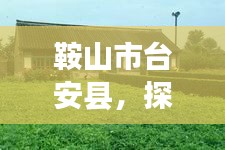 鞍山市台安县，探寻魅力之旅，一览风土人情！