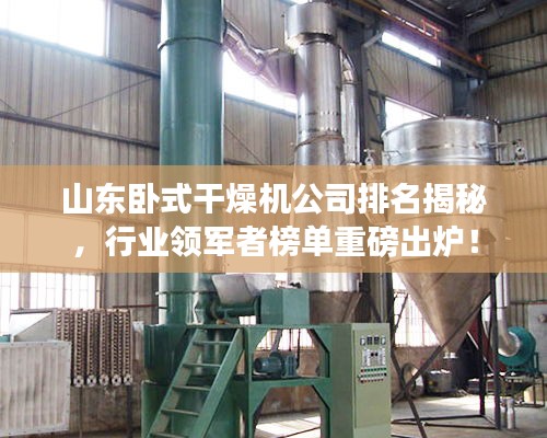 山东卧式干燥机公司排名揭秘，行业领军者榜单重磅出炉！
