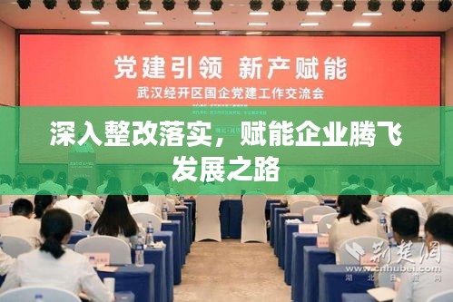 深入整改落实，赋能企业腾飞发展之路