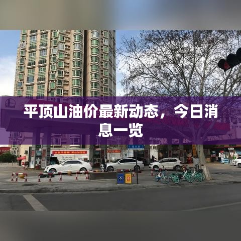 平顶山油价最新动态，今日消息一览