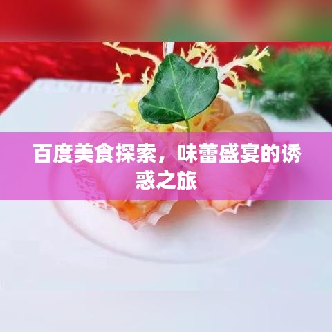 百度美食探索，味蕾盛宴的诱惑之旅