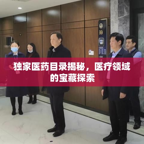独家医药目录揭秘，医疗领域的宝藏探索