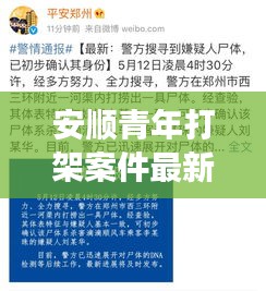 安顺青年打架案件最新进展揭秘，进展迅速，细节曝光！