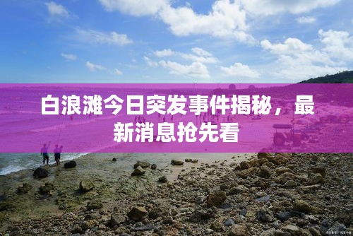 白浪滩今日突发事件揭秘，最新消息抢先看