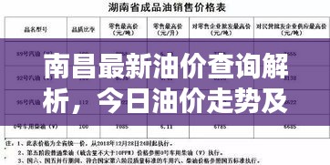 南昌最新油价查询解析，今日油价走势及实时信息更新