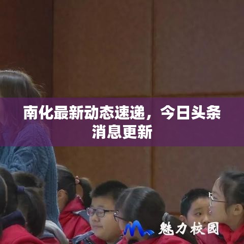 南化最新动态速递，今日头条消息更新