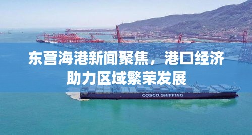 东营海港新闻聚焦，港口经济助力区域繁荣发展