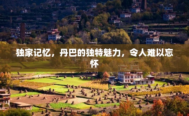 对答如流 第2页