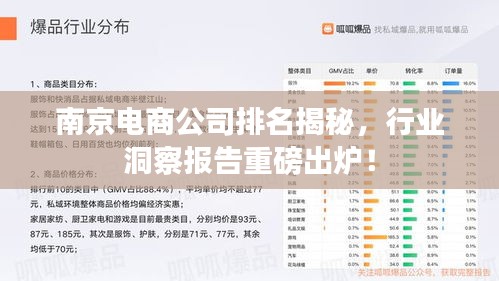 南京电商公司排名揭秘，行业洞察报告重磅出炉！