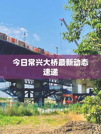 贵不可言 第2页