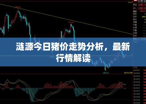 涟源今日猪价走势分析，最新行情解读