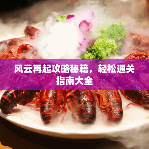 风云再起攻略秘籍，轻松通关指南大全