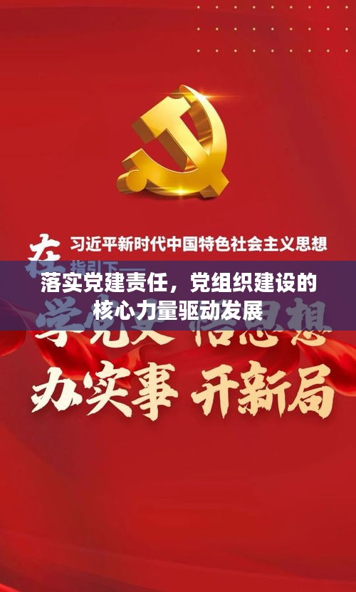 落实党建责任，党组织建设的核心力量驱动发展
