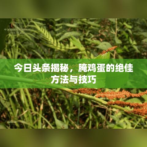 今日头条揭秘，腌鸡蛋的绝佳方法与技巧