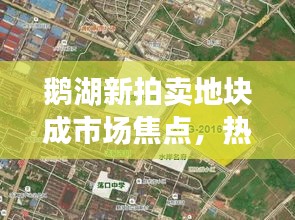 鹅湖新拍卖地块成市场焦点，热议不断！