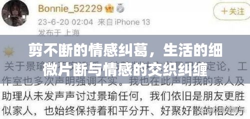 剪不断的情感纠葛，生活的细微片断与情感的交织纠缠