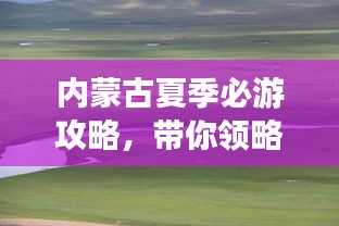 内蒙古夏季必游攻略，带你领略草原风情！
