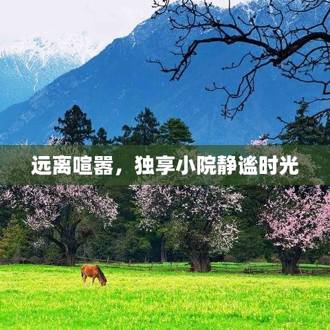 贵不期骄 第2页