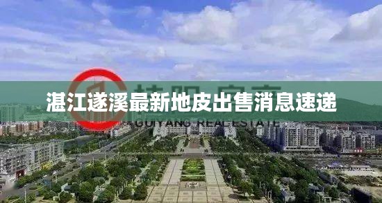 湛江遂溪最新地皮出售消息速递