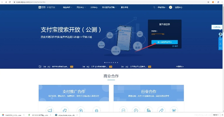 支付宝最新版本是什么,实效策略解析&amp;专业版_v5.381