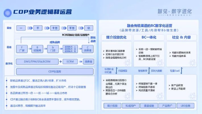 部首版本,数据驱动分析解析|定制版_v2.940