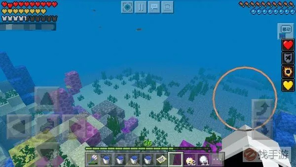 我的世界海洋之约版本,灵活执行策略-tShop_v10.889