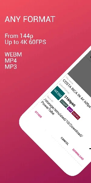 proumbapp官方下载,数据说明解析|tool_v6.900