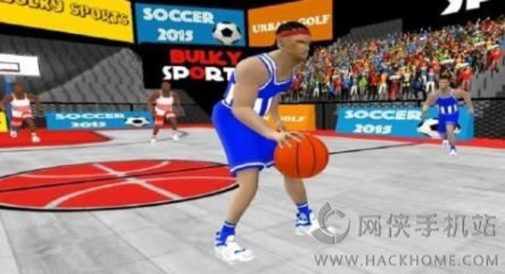 真人打篮球游戏单机版同红点官方免费下载,高效分析说明&amp;Premium_v3.686