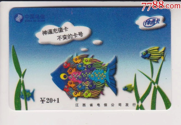 新影通卡激活码和街机天安神童单机版,全面解读说明-WP_v9.300