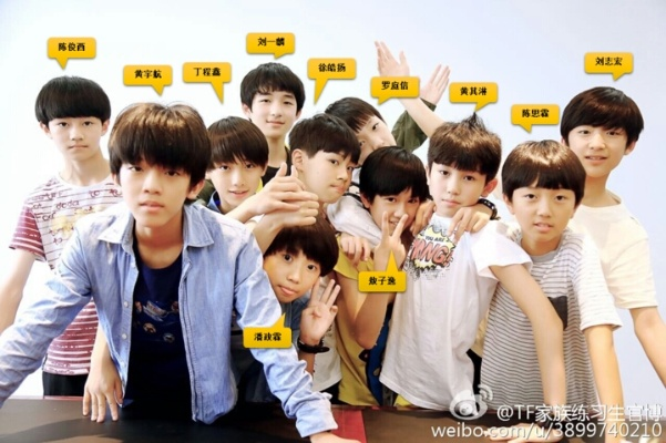 tf家族官方网站下载和手机火线星座激活码,安全性计划解析_AR版_v2.793