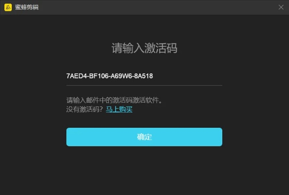 vue视频官方下载跟更改系统激活码,迅速落实计划解答 4DM_v1.523